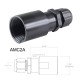 Anterior